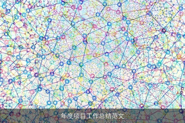 年度项目工作总结范文