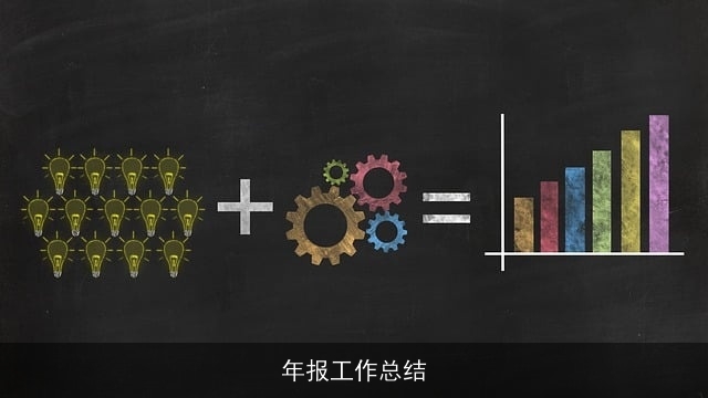 年报工作总结