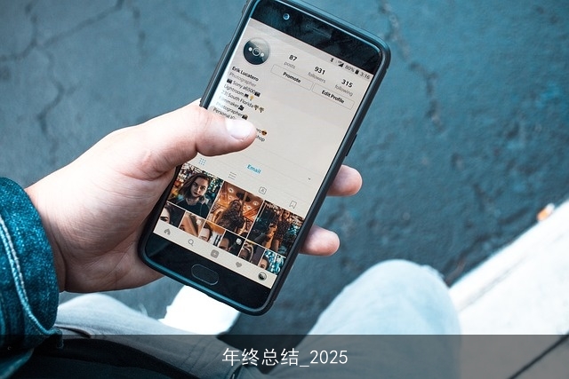 年终总结_2025