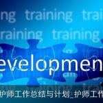 年终护师工作总结与计划_护师工作总结