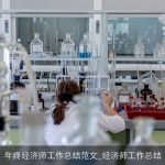年终经济师工作总结范文_经济师工作总结