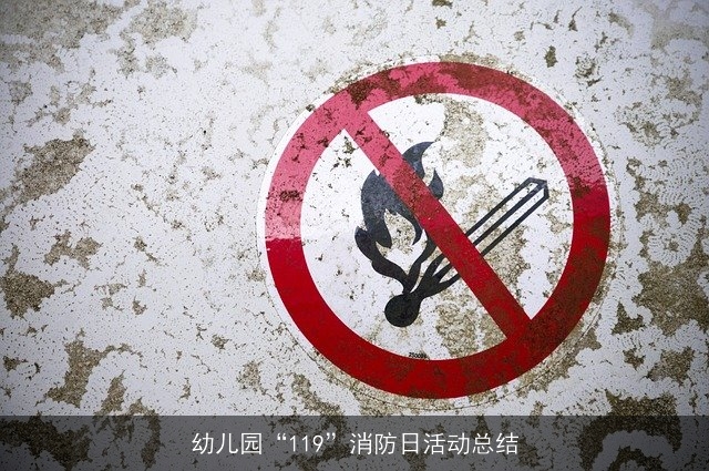 幼儿园“119”消防日活动总结