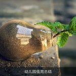 幼儿园值周总结