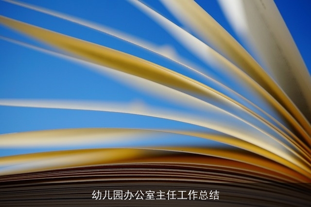 幼儿园办公室主任工作总结
