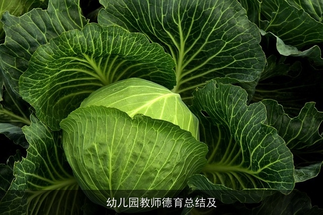 幼儿园教师德育总结及