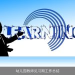 幼儿园教师见习期工作总结