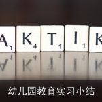 幼儿园教育实习小结