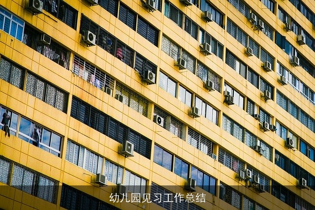 幼儿园见习工作总结