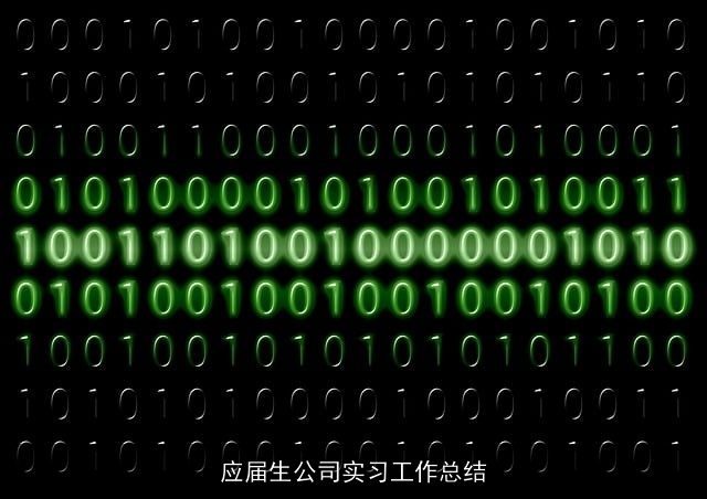 应届生公司实习工作总结