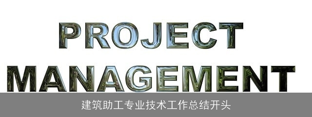 建筑助工专业技术工作总结开头