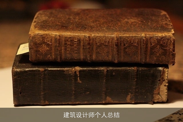 建筑设计师个人总结