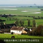 开展农村集体三资清理工作总结范文