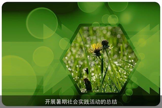 开展暑期社会实践活动的总结