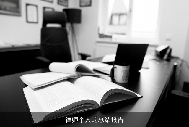 律师个人的总结报告