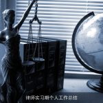 律师实习期个人工作总结