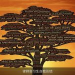律师实习生自我总结