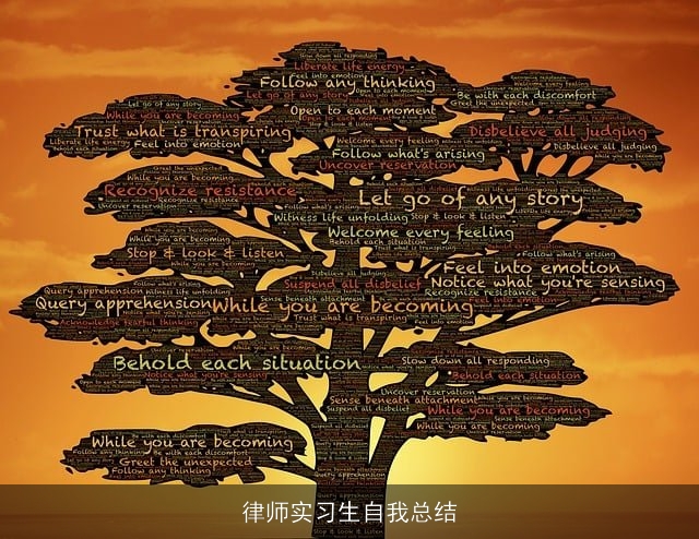 律师实习生自我总结