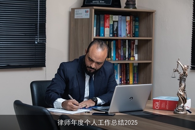律师年度个人工作总结2025