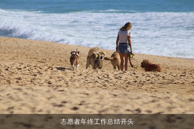 志愿者年终工作总结开头