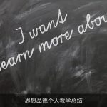 思想品德个人教学总结