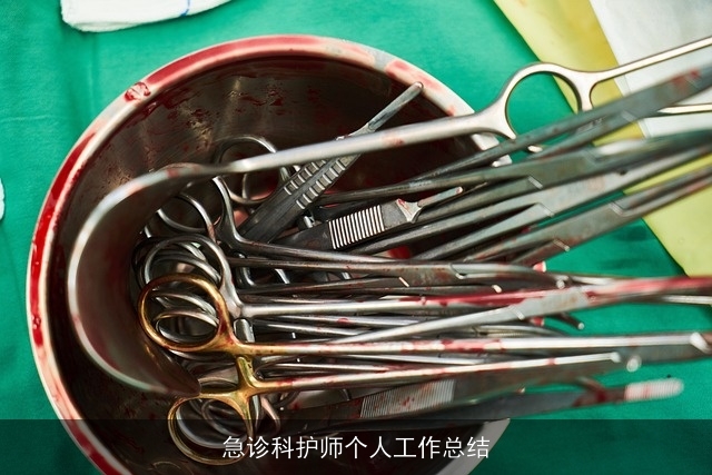 急诊科护师个人工作总结