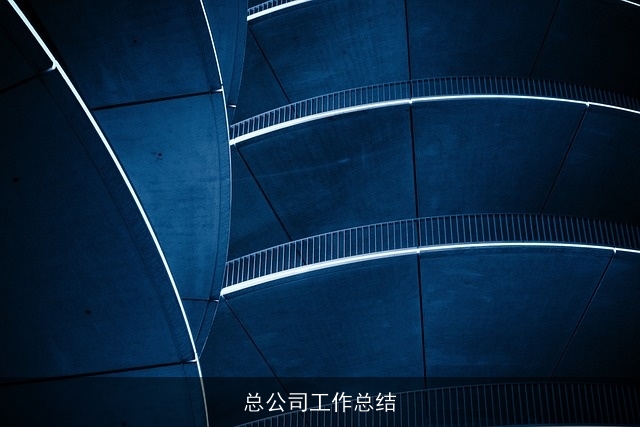 总公司工作总结