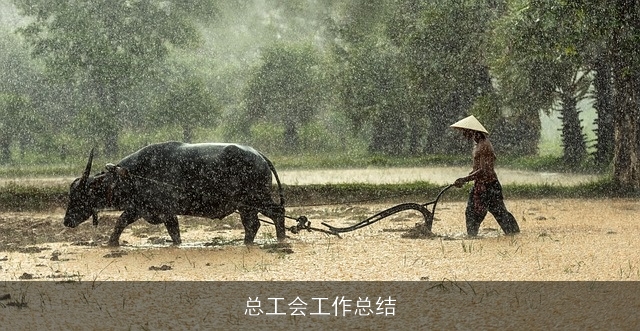 总工会工作总结