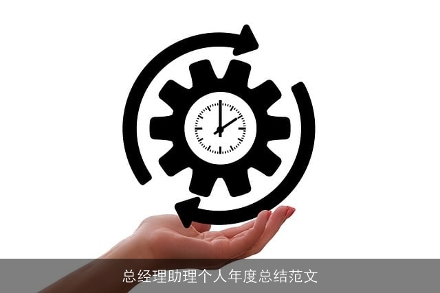 总经理助理个人年度总结范文