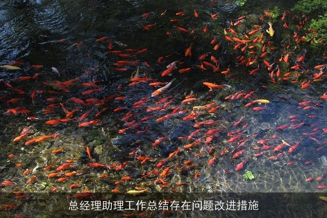 总经理助理工作总结存在问题改进措施