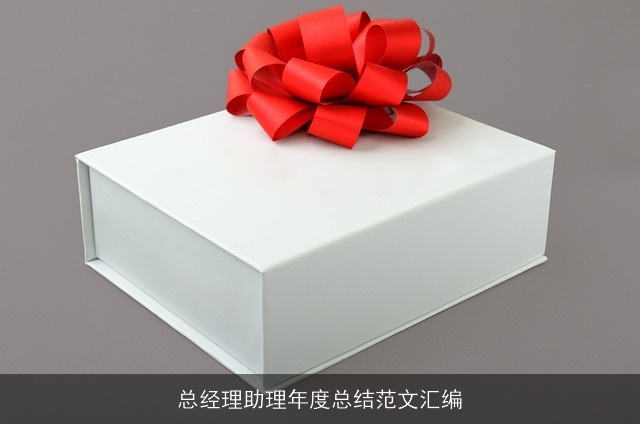 总经理助理年度总结范文汇编