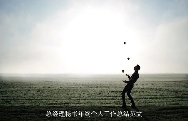 总经理秘书年终个人工作总结范文