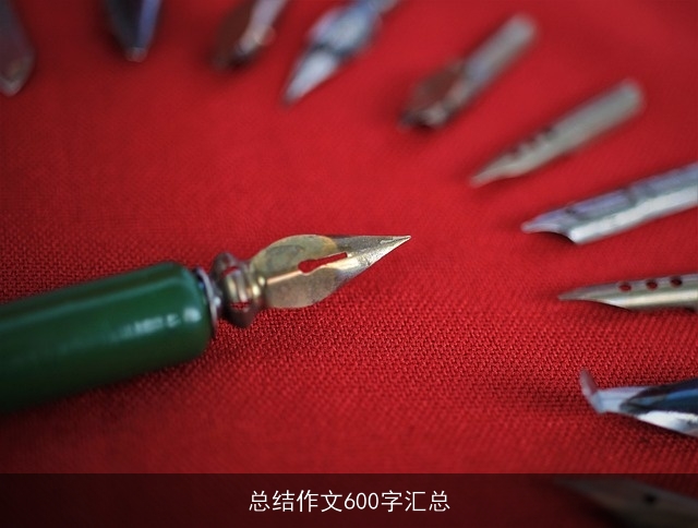 总结作文600字汇总