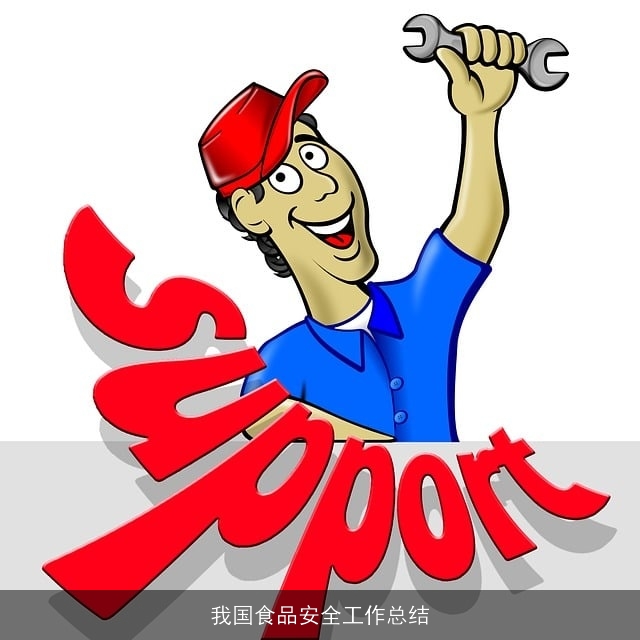 我国食品安全工作总结