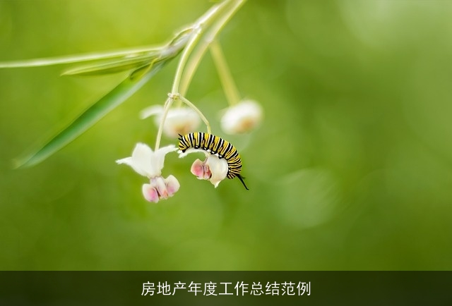 房地产年度工作总结范例