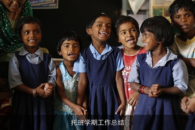 托班学期工作总结