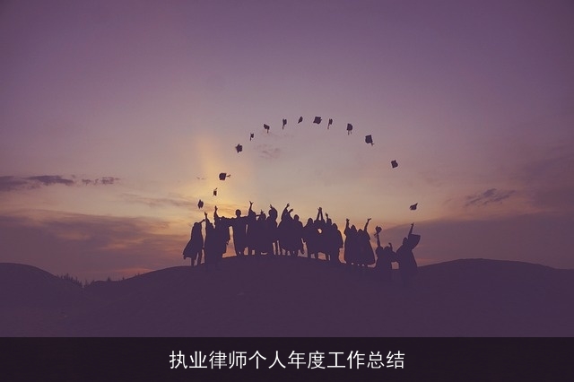执业律师个人年度工作总结