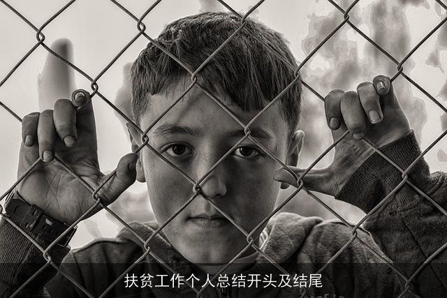 扶贫工作个人总结开头及结尾