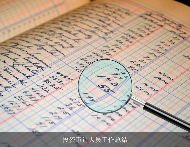 投资审计人员工作总结