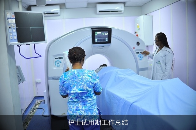 护士试用期工作总结