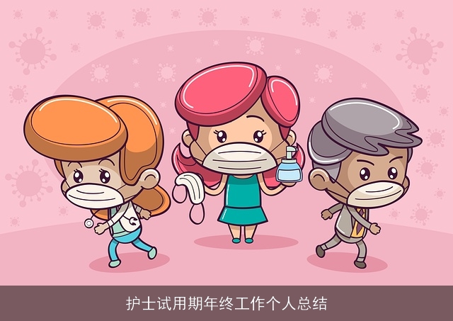 护士试用期年终工作个人总结