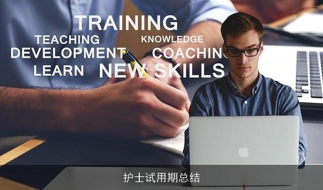 护士试用期总结