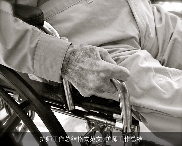 护师工作总结格式范文_护师工作总结