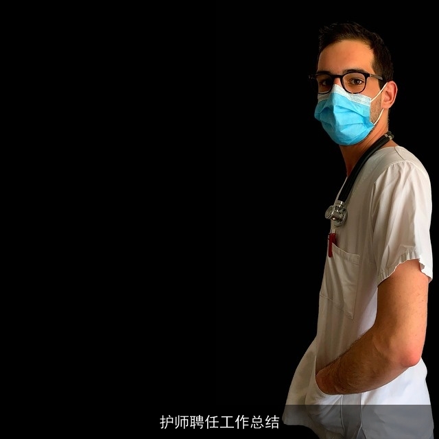 护师聘任工作总结