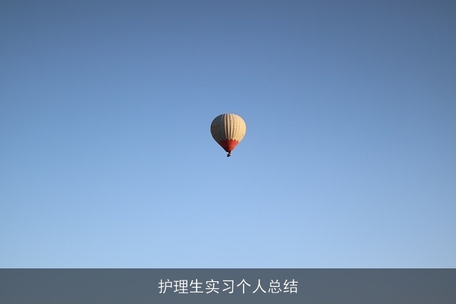 护理生实习个人总结