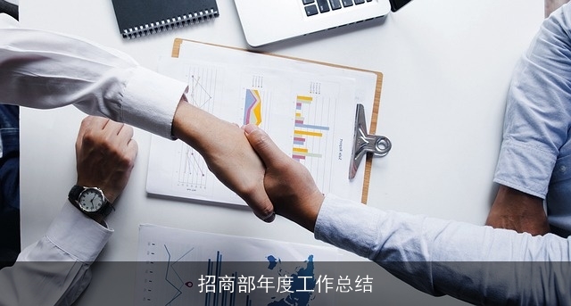 招商部年度工作总结