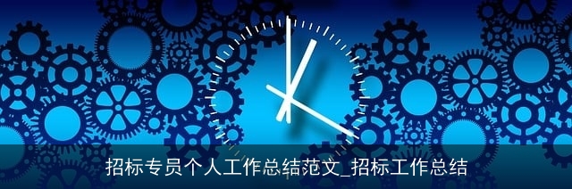 招标专员个人工作总结范文_招标工作总结