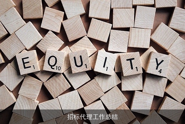 招标代理工作总结