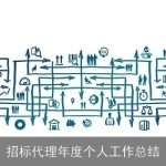 招标代理年度个人工作总结
