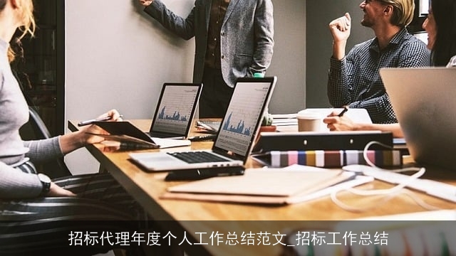 招标代理年度个人工作总结范文_招标工作总结
