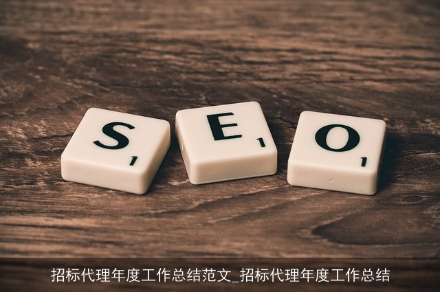 招标代理年度工作总结范文_招标代理年度工作总结
